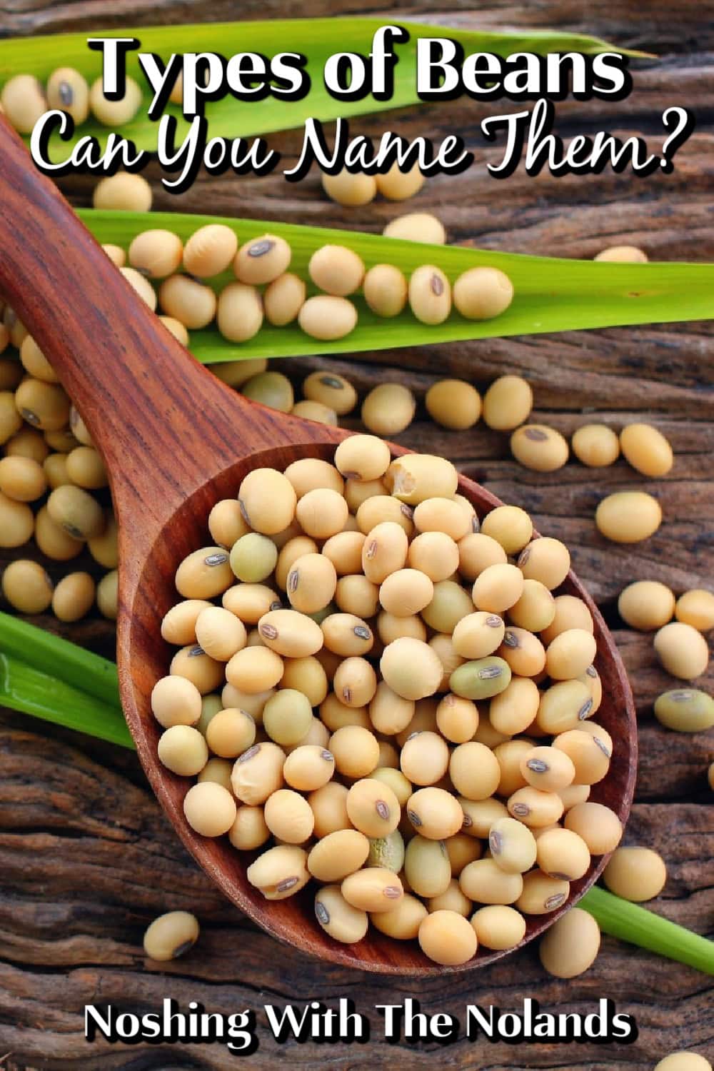 Types of Beans pin. 