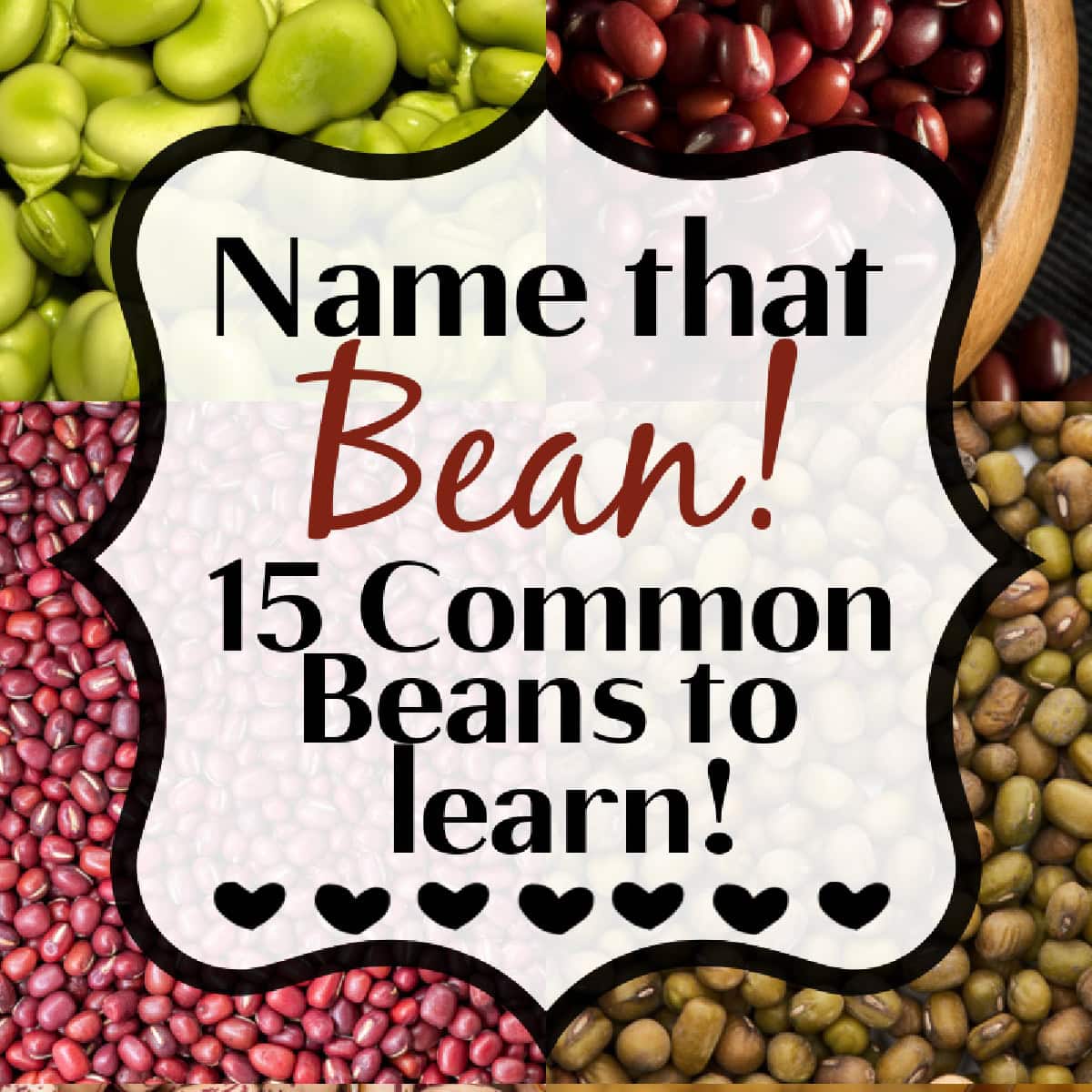 Name that Bean square poster. 