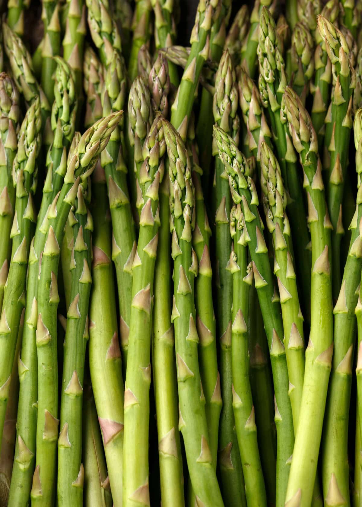 Single stalks of asparagus laid out. 