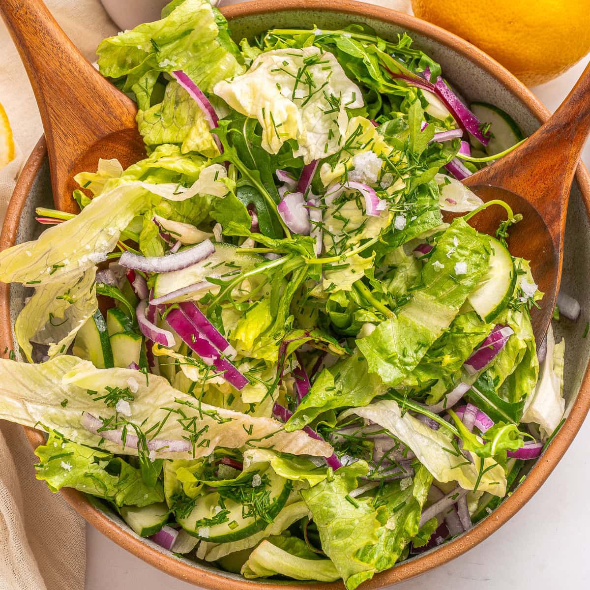 Close-up on a french bistro salad.