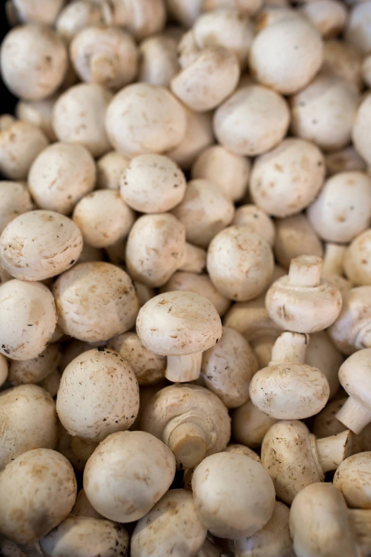 White button mushrooms. 