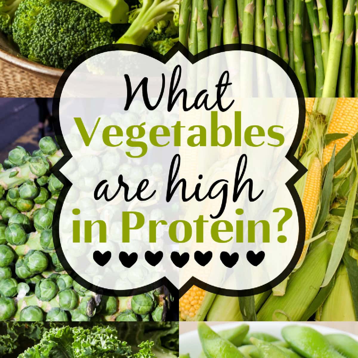 What Vegetables are High in Protein? Square banner. 